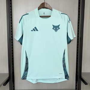 2025/26 Cruzeiro Training Light Green Jersey S-XXXXL - Front