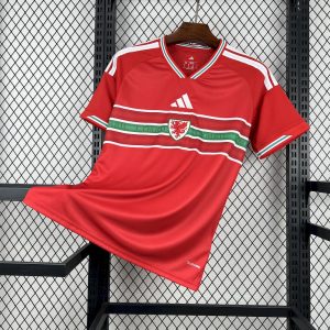 2026 Mens Wales World Cup Home Jersey - Front