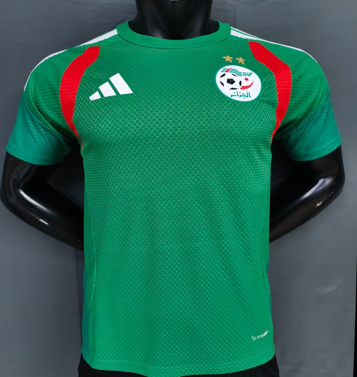 player version 2026 algeria green jersey front Player Version 2026 Algeria Green Jersey - Front