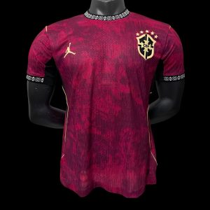 Player Version 2026 Brazil Third Wine Jersey - Front